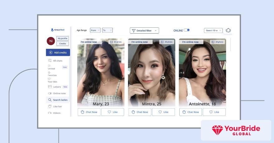 amourmeet interface